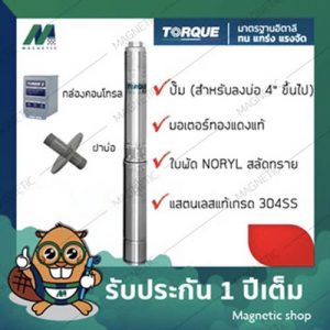 ปั๊มบาดาล TORQUE 4" 1.5 HP - 3HP 220 V  ครบชุด (ไม่รวมสายไฟ)