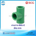 สามทาง PPR.Tem