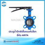 ประตูน้ำปีกผีเสือ ARITA.Tem