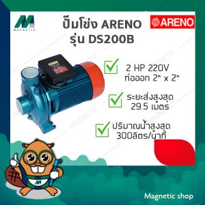 ปั๊มโข่งใหญ่ ARENO รุ่น DS200B 2" x 2" 2HP 220V