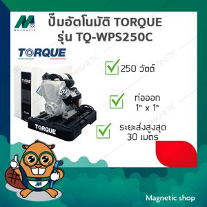 ปั๊มอัตโนมัติแรงดันคงที่มีฝาครอบ TORQUE 250วัตต์ รุ่น TQ-WP-AP-WPS250C
