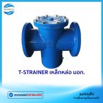 T-STRAINER มอก.Tem