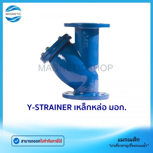 Y-STRAINER มอก.Tem
