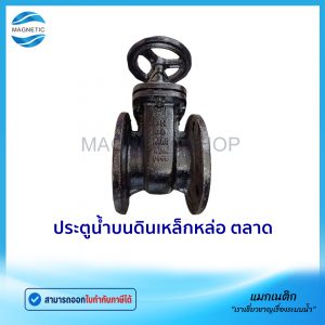 ประตูน้ำบนดินเหล็กหล่อ ตลาด