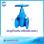 ประตูน้ำบนดิน มอก.Tem