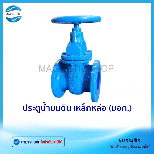 ประตูน้ำบนดิน มอก.Tem