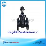 ประตูน้ำใต้ดิน ตลาด.Tem