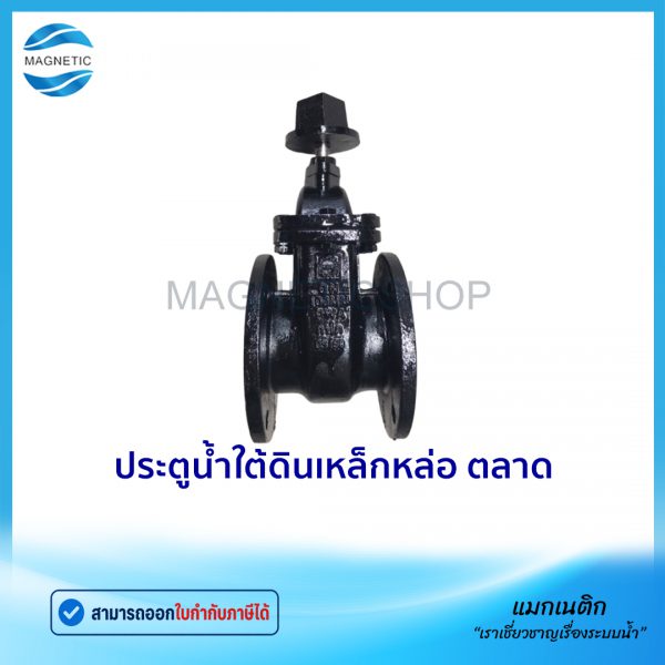 ประตูน้ำใต้ดิน ตลาด.Tem