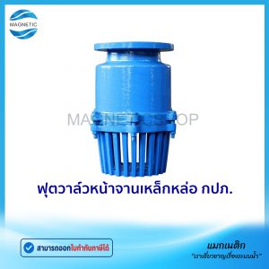 ฟุตวาล์วหน้าจาน กปภ.