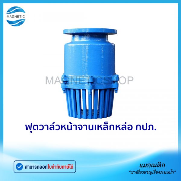 ฟุตวาล์วหน้าจาน กปภ.Tem