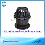 ฟุตวาล์วแบบหน้าจาน ตลาด.Tem