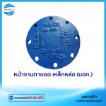 หน้าจานตาบอด มอก.Tem