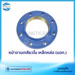 หน้าจานเกลียวในเหล็กหล่อ มอก.Tem1