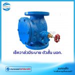เช็ควาล์ว มีระบาย ตัวสั้น มอก.Tem
