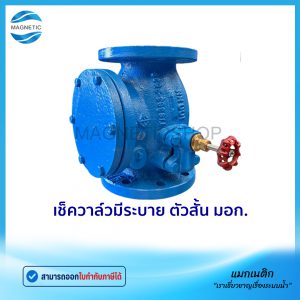 เช็ควาล์วมีระบาย ตัวสั้น มอก.