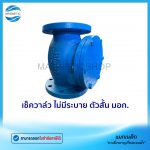 เช็ควาล์ว ไม่มีระบาย ตัวสั้น มอก.Tem