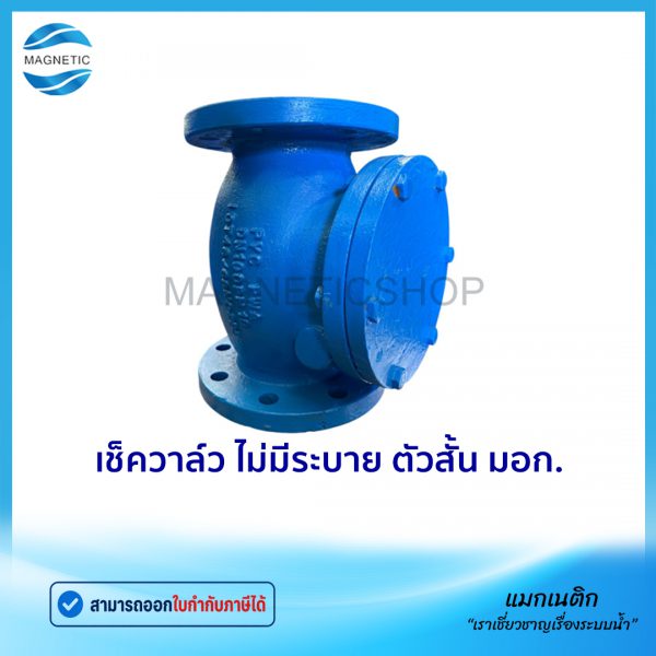 เช็ควาล์ว ไม่มีระบาย ตัวสั้น มอก.Tem