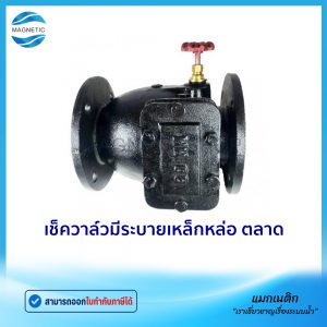 เช็ควาล์วมีระบายเหล็กหล่อ ตลาด
