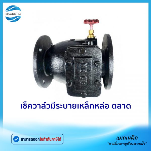 เช็ควาล์วมีระบาบ ตลาด.Tem