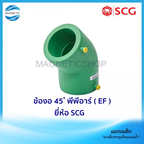 ข้องอ 45 พีพีอาร์ ( EF ).Tem