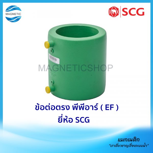 ข้อต่อตรง พีพีอาร์ ( EF ).Tem