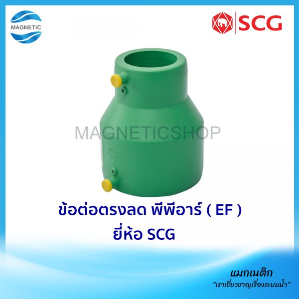 ข้อต่อตรงลด พีพีอาร์ ( EF ).Tem