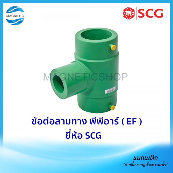 ข้อต่อสามทาง พีพีอาร์ ( EF ).Tem