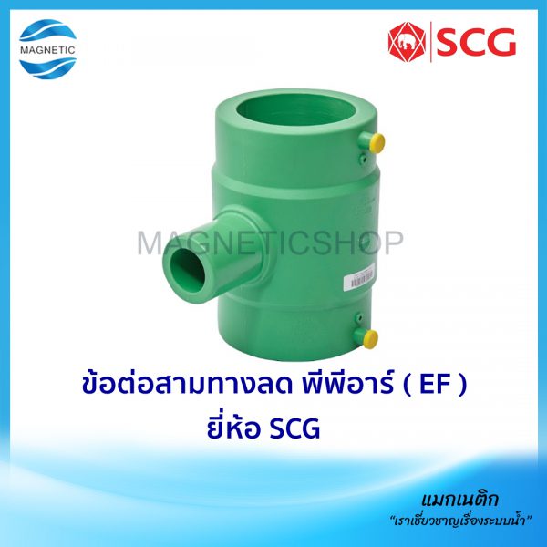 ข้อต่อสามทางลด พีพีอาร์ ( EF ).Tem