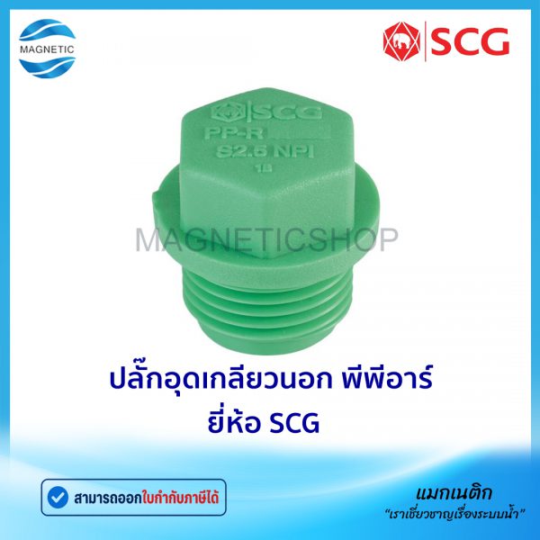 ปลั๊กอุดเกลียวนอก PPR.Tem