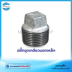 ปลั๊กอุดเหล็ก