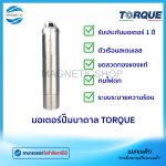 มอเตอร์ปั๊มบาดาล TORQUE.Tem
