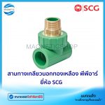 สามทางเกลียวนอกทองเหลือง PPR.Tem