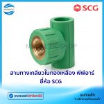 สามทางเกลียวในทองเหลือง PPR.Tem