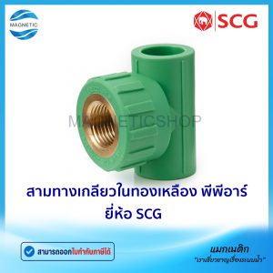 สามทางเกลียวในทองเหลือง พีพีอาร์ ยี่ห้อ SCG