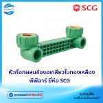 หัวก๊อกผสมข้องอเกลียวในทองเหลือง PPR.Tem