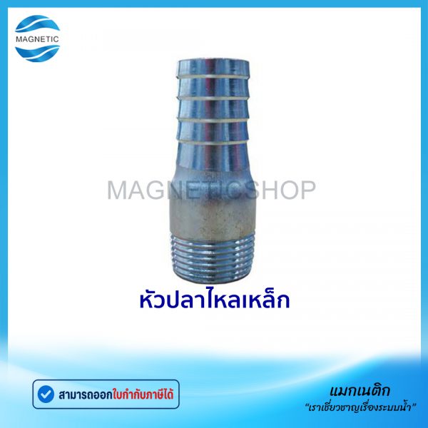 หัวปลาไหลเหล็ก.Tem