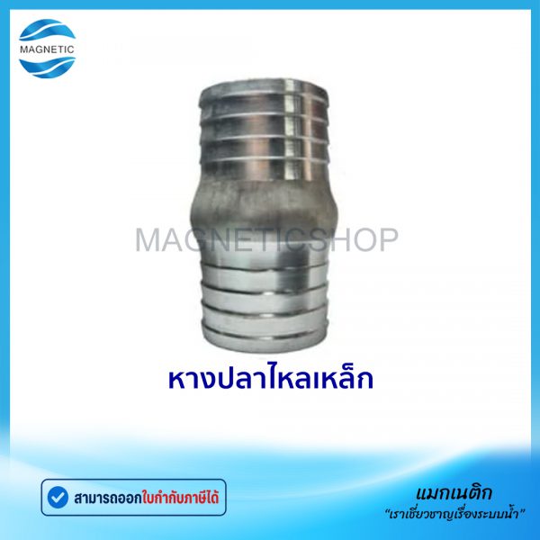 หางปลาไหลเหล็ก.Tem